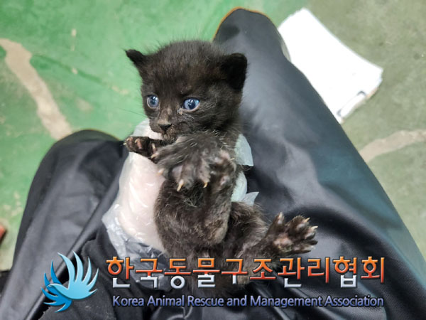 한국동물구조관리협회_411311202300787